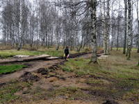 VFL.RU - ваш фотохостинг