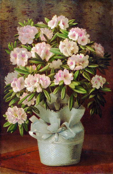 28613657_m.jpg