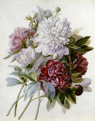 28645727_m.jpg