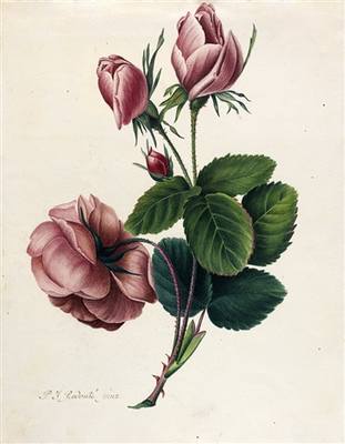 28645733_m.jpg