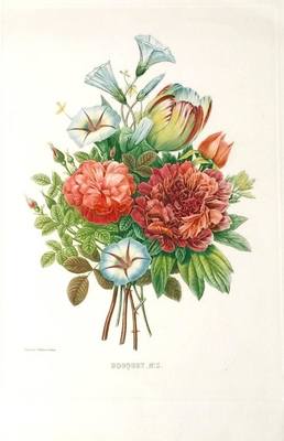 28645730_m.jpg