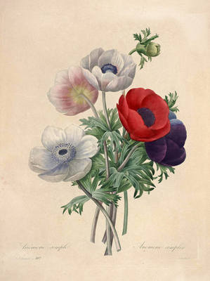 28645729_m.jpg