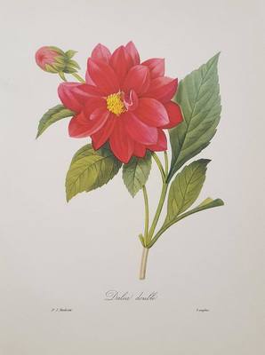 28645731_m.jpg