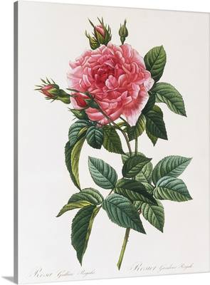 28645735_m.jpg