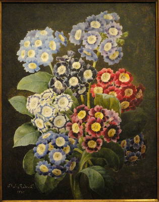 28645936_m.jpg