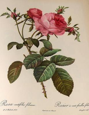 28645939_m.jpg