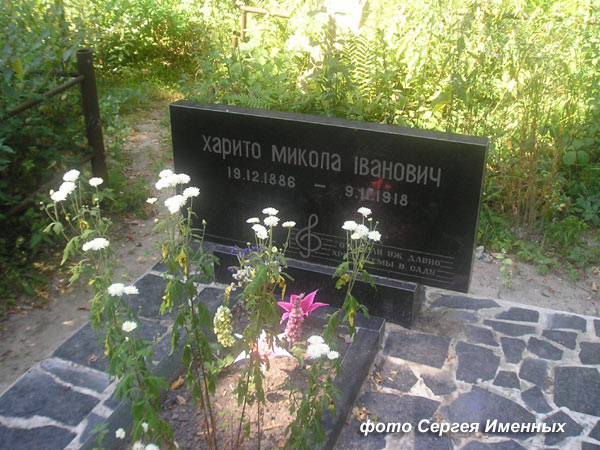 28707193_m.jpg