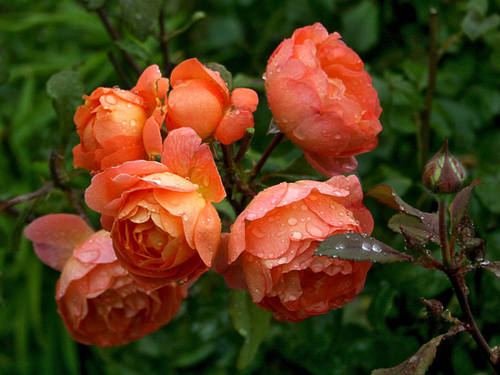 28722458_m.jpg