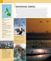 sanet.st Where to Go Wild in Britain 24