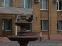 VFL.RU - ваш фотохостинг