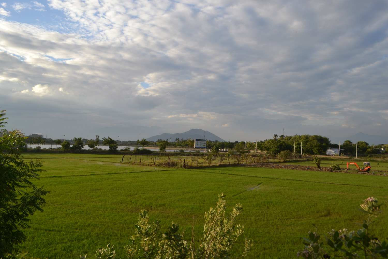 2019-07 Фанранг (3532)