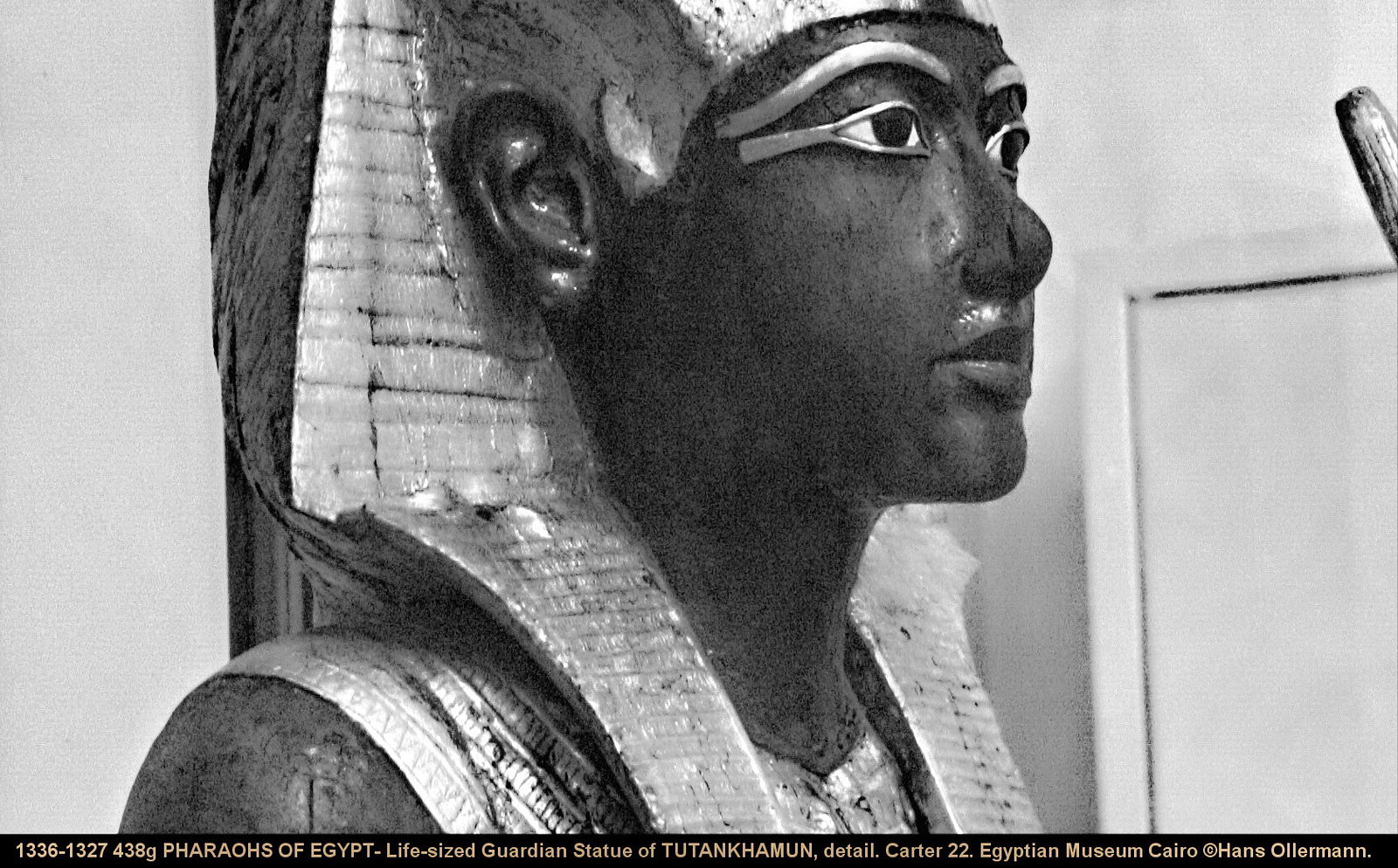 Life-sized Guardian Statue of TUTANKHAMUN, detail. Carter 22. From the North Wall of the Antechamber of his Tomb. CARTER 22. Relevant Burton photo’s, as found in the Howard Carter Archives in Griffith Institute at Oxford University, are: 6,7,16,17,280,281,292,293,320,321,491-496 and 498. JE 60707; Exhib. 96. Tutankhamun was an Egyptian pharaoh of the 18th dynasty (ruled ca. 1332–1323 BC in the conventional chronology), during the period of Egyptian history known as the New Kingdom. He is popularly referred to as King Tut. His original name, Tutankhaten, means "Living Image of Aten", while Tutankhamun means "Living Image of Amun". In hieroglyphs, the name Tutankhamun was typically written Amen-tut-ankh, because of a scribal custom that placed a divine name at the beginning of a phrase to show appropriate reverence. He is possibly also the Nibhurrereya of the Amarna letters, and likely the 18th dynasty king Rathotis who, according to Manetho, an ancient historian, had reigned for nine years—a figure that conforms with Flavius Josephus's version of Manetho's Epitome. The 1922 discovery by Howard Carter and George Herbert, 5th Earl of Carnarvon of Tutankhamun's nearly intact tomb received worldwide press coverage. It sparked a renewed public interest in ancient Egypt, for which Tutankhamun's burial mask, now in Cairo Museum, remains the popular symbol. Exhibits of artifacts from his tomb have toured the world. In February 2010, the results of DNA tests confirmed that he was the son of Akhenaten (mummy KV55) and Akhenaten's sister and wife (mummy KV35YL), whose name is unknown but whose remains are positively identified as "The Younger Lady" mummy found in KV35. Life Tutankhamun was the son of Akhenaten (formerly Amenhotep IV) and one of Akhenaten's sisters, or perhaps one of his cousins. As a prince he was known as Tutankhaten. He ascended to the throne in 1333 BC, at the age of nine or ten, taking the throne name Nebkheperure. His wet-nurse was a woman called Maia, known from her tomb at Saqqara. A teacher was most likely Sennedjem. When he became king, he married his half-sister, Ankhesenpaaten, who later changed her name to Ankhesenamun. They had two daughters, both stillborn. Computed tomography studies released in 2011 revealed that one daughter died at 5–6 months of pregnancy and the other at 9 months of pregnancy. No evidence was found in either mummy of congenital anomalies or an apparent cause of death. Reign Given his age, the king probably had very powerful advisers, presumably including General Horemheb and the Vizier Ay. Horemheb records that the king appointed him "lord of the land" as hereditary prince to maintain law. He also noted his ability to calm the young king when his temper flared. In his third regnal year, Tutankhamun reversed several changes made during his father's reign. He ended the worship of the god Aten and restored the god Amun to supremacy. The ban on the cult of Amun was lifted and traditional privileges were restored to its priesthood. The capital was moved back to Thebes and the city of Akhetaten abandoned. This is when he changed his name to Tutankhamun, "Living image of Amun", reinforcing the restoration of Amun. As part of his restoration, the king initiated building projects, in particular at Thebes and Karnak, where he dedicated a temple to Amun. Many monuments were erected, and an inscription on his tomb door declares the king had "spent his life in fashioning the images of the gods". The traditional festivals were now celebrated again, including those related to the Apis Bull, Horemakhet, and Opet. His restoration stela says: The temples of the gods and goddesses ... were in ruins. Their shrines were deserted and overgrown. Their sanctuaries were as non-existent and their courts were used as roads ... the gods turned their backs upon this land ... If anyone made a prayer to a god for advice he would never respond. The country was economically weak and in turmoil following the reign of Akhenaten. Diplomatic relations with other kingdoms had been neglected, and Tutankhamun sought to restore them, in particular with the Mitanni. Evidence of his success is suggested by the gifts from various countries found in his tomb. Despite his efforts for improved relations, battles with Nubians and Asiatics were recorded in his mortuary temple at Thebes. His tomb contained body armor and folding stools appropriate for military campaigns. However, given his youth and physical disabilities, which seemed to require the use of a cane in order to walk (he died c. age 19), historians speculate that he did not personally take part in these battles. Health and appearance Tutankhamun was slight of build, and was roughly 180 cm (5 ft 11 in) tall. He had la