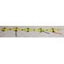 031 Quill strip yellow quilled blanket strip 56" long, disks are 5" in diameter