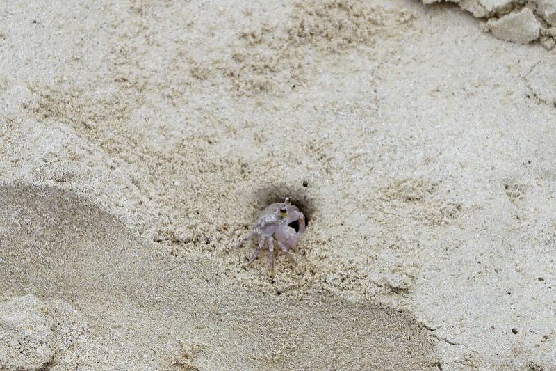 море