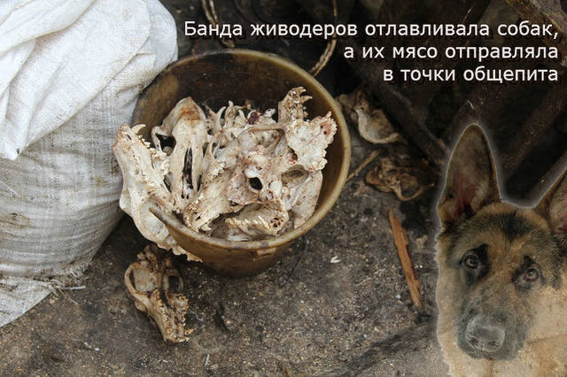 Импортозамещение