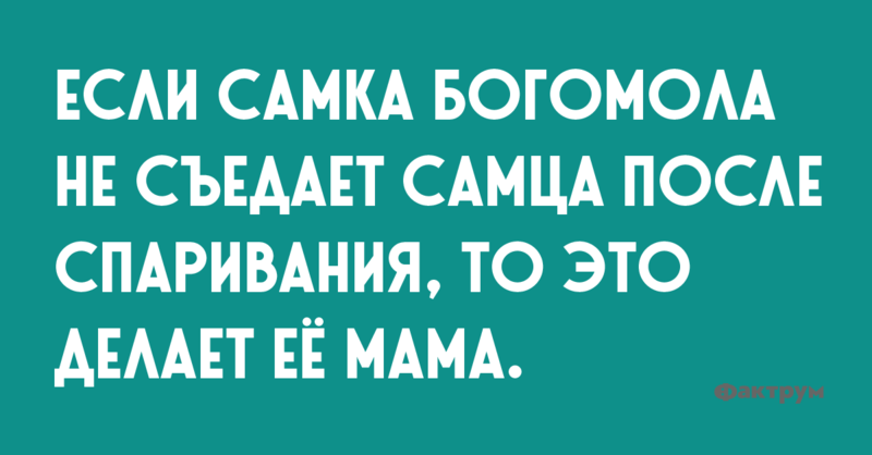 podborka-iz-desyati-korotkih-anekdotov-04 podborka-iz-desyati-korotkih-anekdotov-04