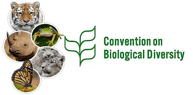 Конвенция о животных. Конвенция о биологическом разнообразии 1992. Конвенция о биологическом разнообразии 1992 г цели. Конвенция ООН по биологическому разнообразию. Международная конвенция о биологическом разнообразии.