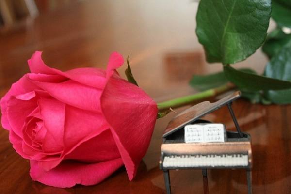 VFL.RU - ваш фотохостинг