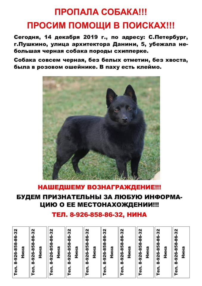 Потерялась