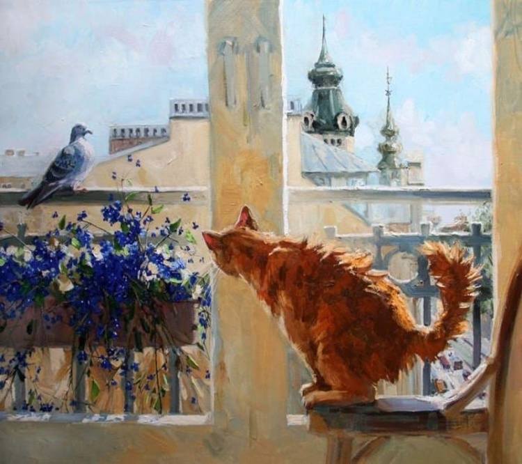 Коты и кошки Петербурга Коты и кошки Петербурга
