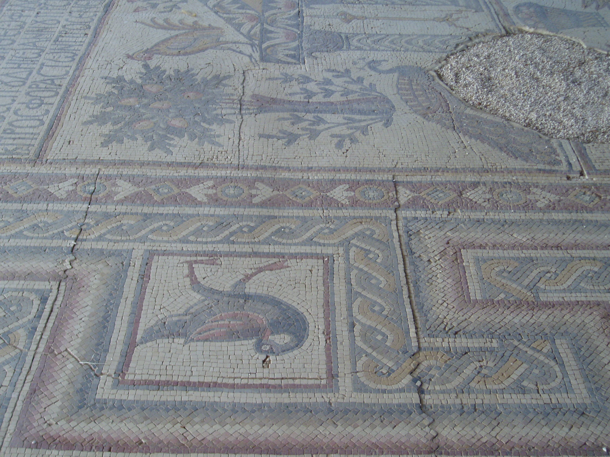 Mosaic, Mount Nebo Section of mosaic from the late Roman period at Mount Nebo.