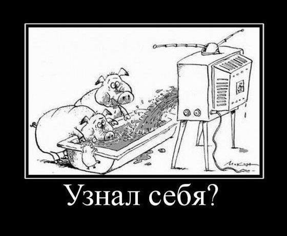 demotivatory-tv-34