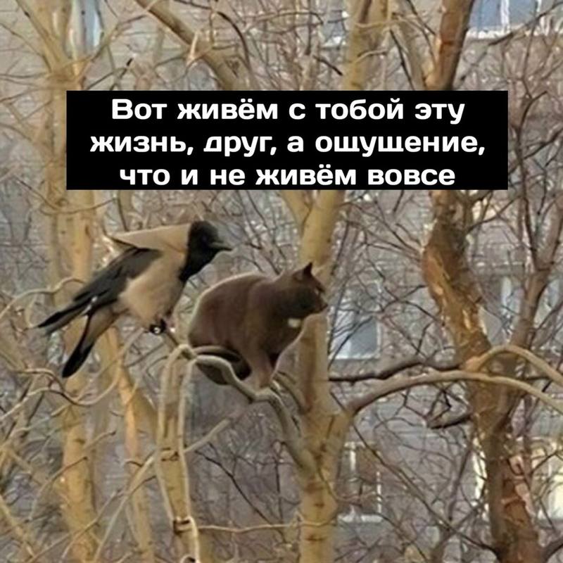 3tTfpTfXKpY 3tTfpTfXKpY