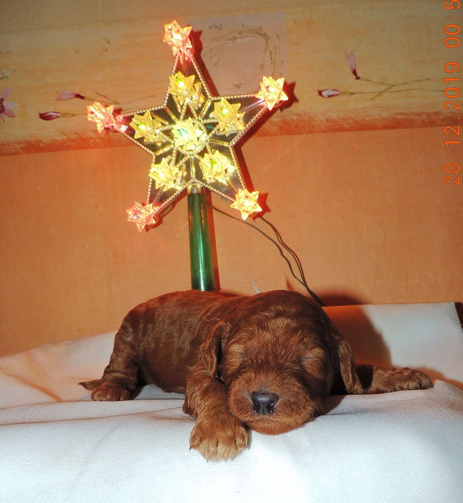 DSCN1200 — копия