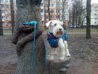 VFL.RU - ваш фотохостинг