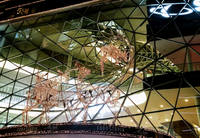 Zeil