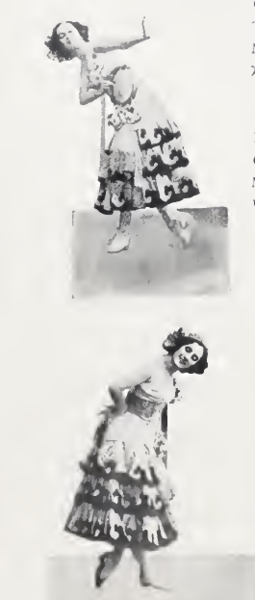 29060505_m.png