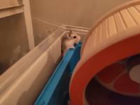 VFL.RU - ваш фотохостинг