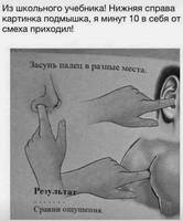 картинка2