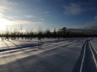 VFL.RU - ваш фотохостинг