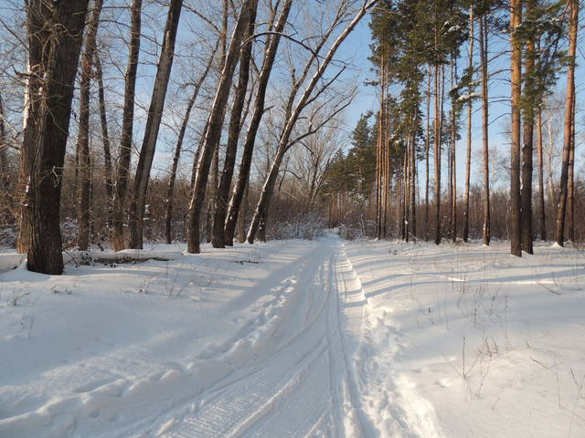 VFL.RU - ваш фотохостинг