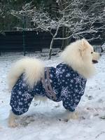 VFL.RU - ваш фотохостинг