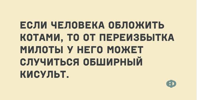 Юмор