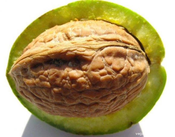 VFL.RU - ваш фотохостинг VFL.RU - ваш фотохостинг