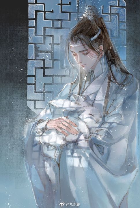 8e5Yu2VdNtc