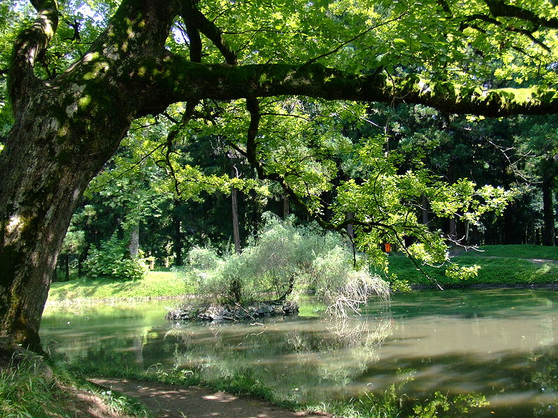 800px-Zugdidi botanical garden5