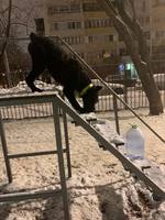 VFL.RU - ваш фотохостинг