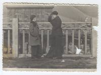 VFL.RU - ваш фотохостинг