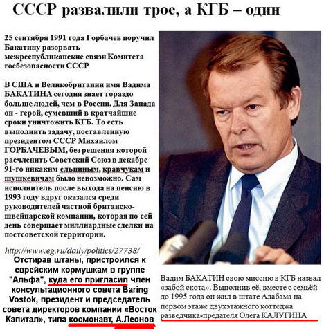 Бакатин гнида