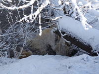 VFL.RU - ваш фотохостинг