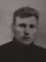 вгд 1...