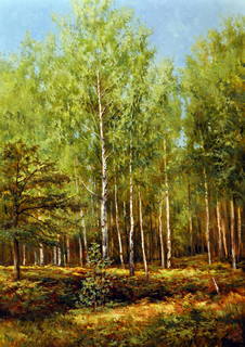 Солнце в роще