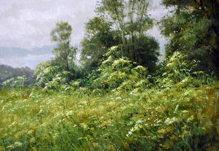 pic (6)
