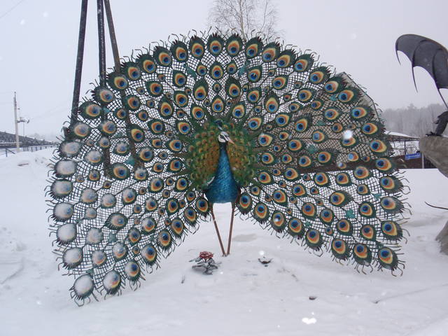 VFL.RU - ваш фотохостинг