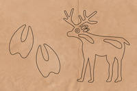 nativeamericansymbols-deer
