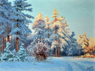 В зимних лучах